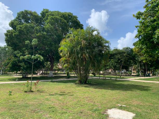 istock Main square of Bacalar in Mexico 1417439214