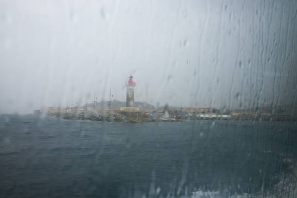 Looking through the window