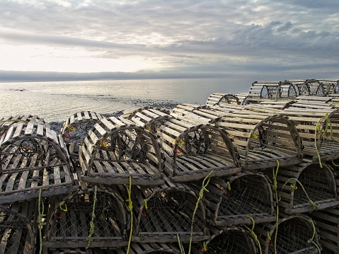 Active fishing communities are lined up along the west coast of Newfoundland bordering the gulf of the Saint Lawrence river. The protected waters provide abundant shellfish catches.