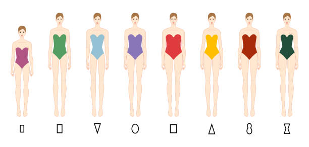 Set Of Women Body Shape Types Apple Pear Column Brick Hourglass Inverted  Triangle Petite In Underwear Female Vector Illustration 9 Head Size Lady  Figure Front View Outline Sketch Girl Stock Illustration 
