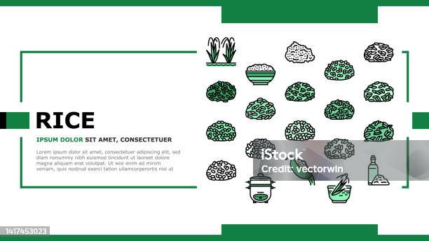 Food Rice Menu Graphics Rice For Preparing Delicious Food Landing Header Vector Stock ...