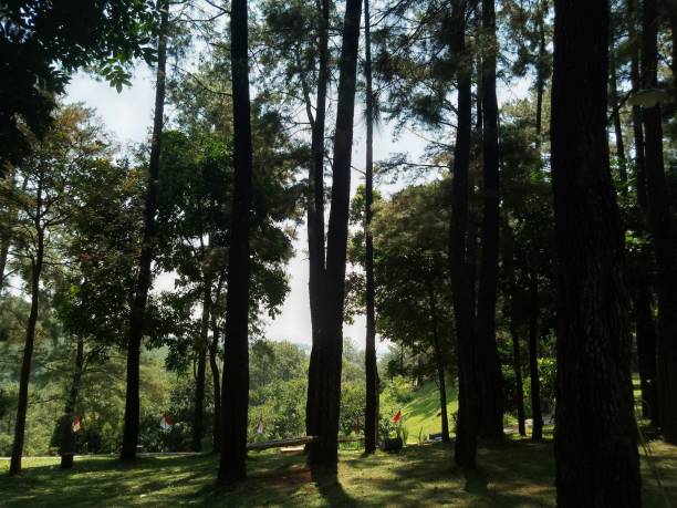 istock The scenery at the TRIJAYA tourist attraction in the Kuningan area, West Java 1417464524