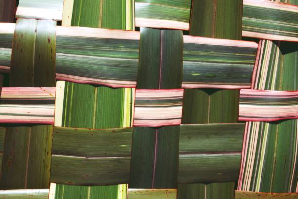 Native New Zealand Flax or Phormium Background Native New Zealand Flax or Phormium plant leaves  from my garden woven by myself into a nature background. This is a craft taught to all New Zealand children at school. maori weaving stock pictures, royalty-free photos & images