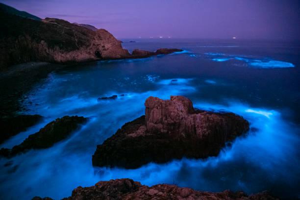 istock Noctiluca Scintillans NightScape Photography 1417468164
