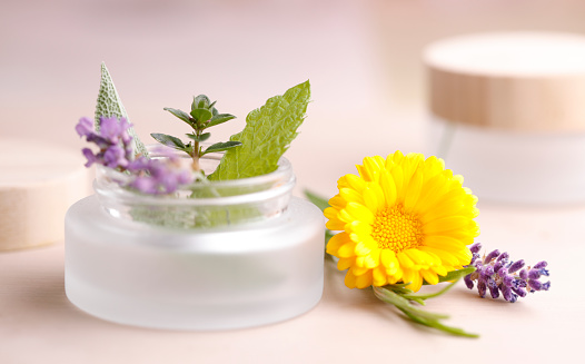 Natural moisturizer with fresh organic herbs