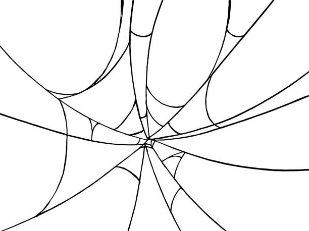 Spiderwebs isolate on png or transparent  background, happy halloween banner, template for poster, brochure, advertising, promotion,sale marketing vector illustration Spiderwebs isolate on png or transparent  background, happy halloween banner, template for poster, brochure, advertising, promotion,sale marketing vector illustration spider web png stock illustrations