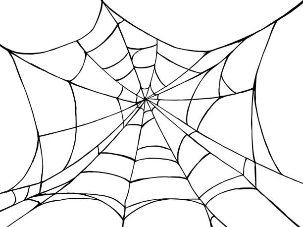 Spiderwebs isolate on png or transparent  background, happy halloween banner, template for poster, brochure, advertising, promotion,sale marketing vector illustration Spiderwebs isolate on png or transparent  background, happy halloween banner, template for poster, brochure, advertising, promotion,sale marketing vector illustration spider web png stock illustrations