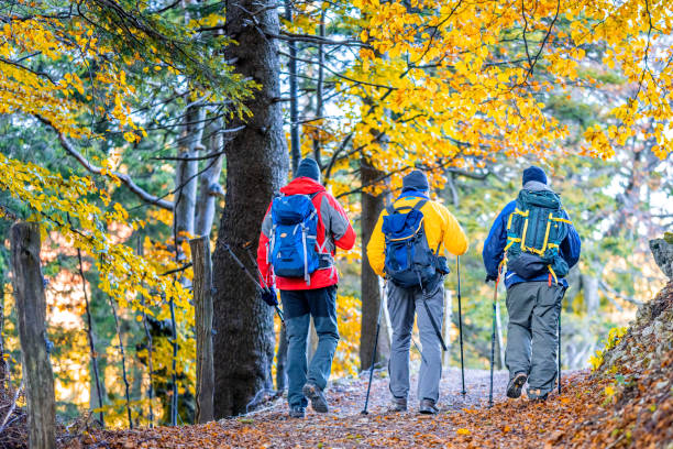 istock Group of tourists walking on path in autumn forest 1417474188