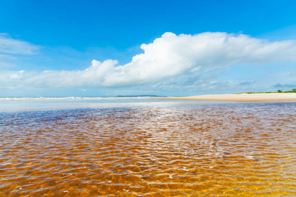 istock Reddish water of a river against the blue sky. 1417476930