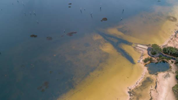 istock Lake Fyans at Dawn 1417509903