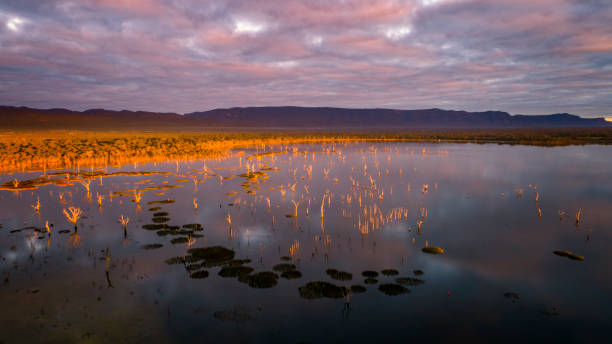 istock Lake Fyans at Dawn 1417509955