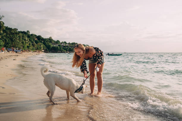 istock Woman playing with a dog on the beach 1417523747
