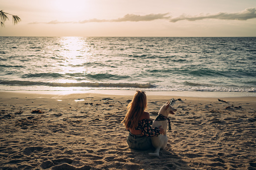 Rear view of a young woman sitting on the beach with her dog and enjoying the sunset