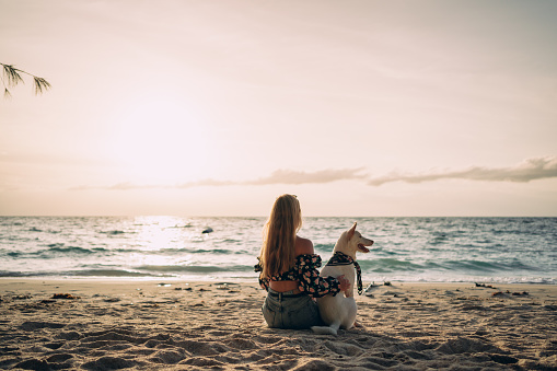 Rear view of a young woman sitting on the beach with her dog and enjoying the sunset