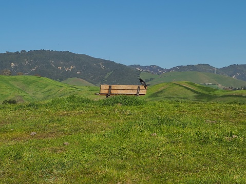 A bench beckons weary hikers in Sycamore Valley Open Space Preserve in the East Bay region of San Francisco