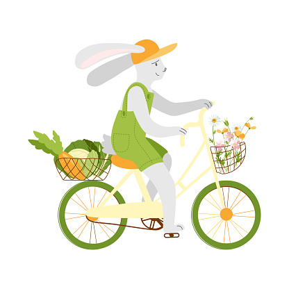Grey hare on a bicycle with vegetables on a white background. Cute funny pets. Vector illustration in a hand-drawn style for a postcard, calendar, banner