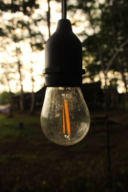 istock A Hanging Light Bulb in the Garden 1417544698