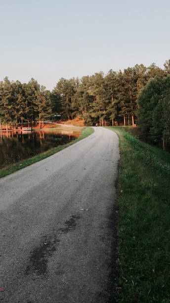 istock Road into wooods 1417548586