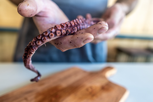 close-up of a man's hands holding an octopus leg