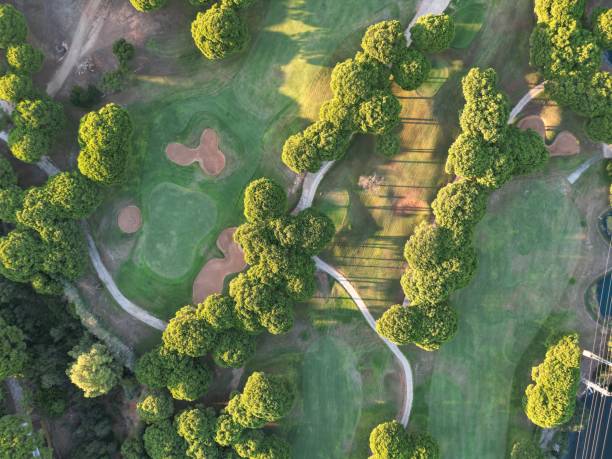 istock Golf in birds eye view 1417554158