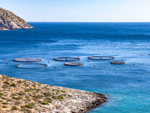 istock Large circle shaped fish farms 1417554374