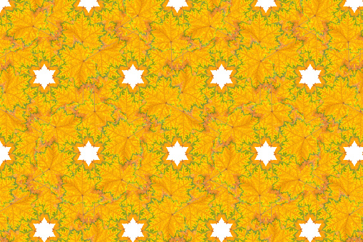 Abstract autumn background made from pigmented maple leaves and white star shapes.