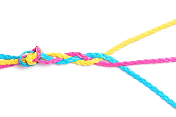 Multicolored flat leather cords braided together isolated on white background. Abstract partnership concept.