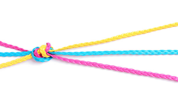 istock Braided leather cords knotted together isolated 1417554692