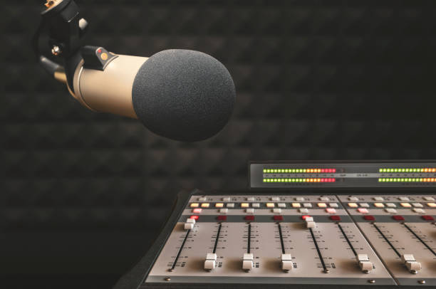 Professional microphone and sound mixer