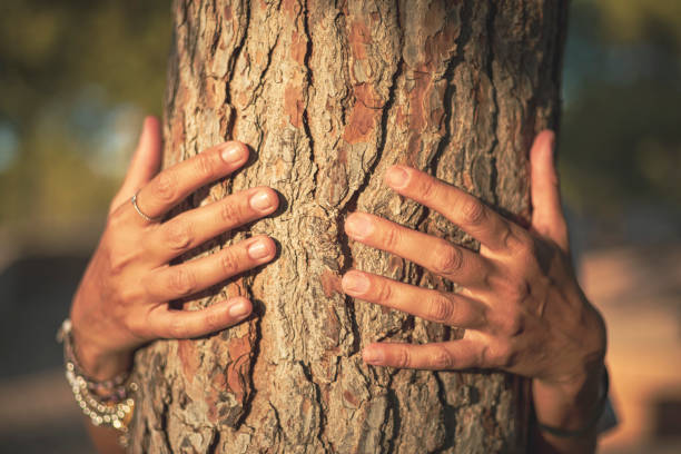 istock Hands of young caucasian woman hugging a tree 1417555634