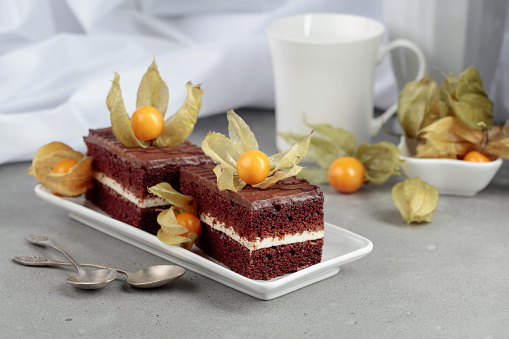 Chocolate cake decorated with physalis on a gray table.