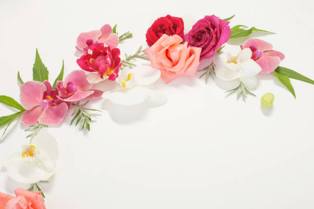 istock pattern of summer flowers on white background 1417559593