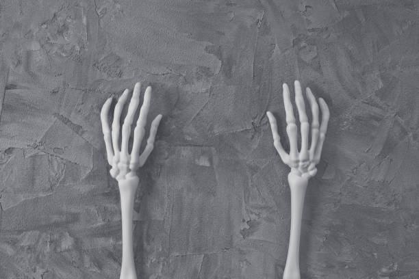 3D render- Human Skeleton Hand,bone joints isolated on black