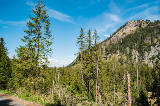 istock View of the Tatras Mountains 1417566046