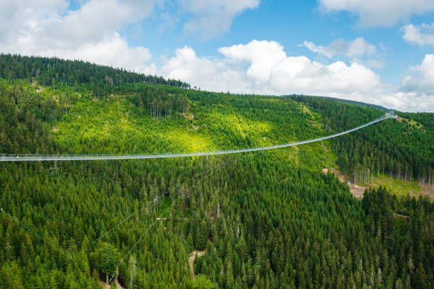 istock Sky Bridge 721 is the longest suspension bridge between two hills in the forest 1417566536
