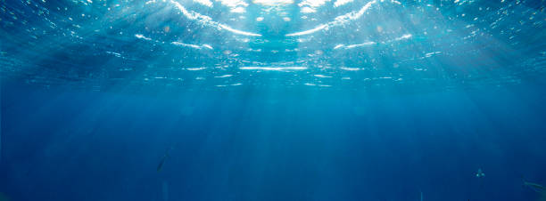 Underwater coral reef on the red sea stock photo