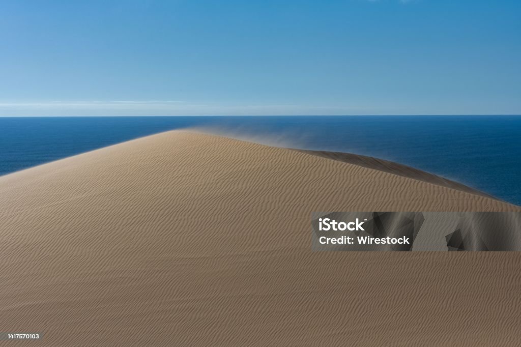 Namibia, the Namib desert Namibia, the Namib desert, landscape of yellow dunes falling into the sea Adventure Stock Photo
