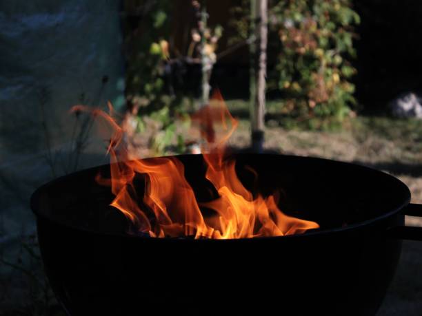 istock Bonfire burning in a bowl during daylight with blurred background of nature 1417571698