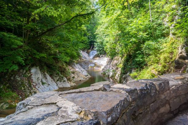 istock Narrow waterfall covered by green lush trees and stony formations 1417573312