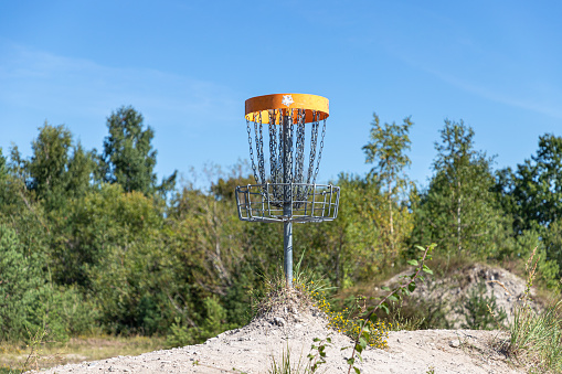 Disc golf game in Estonia