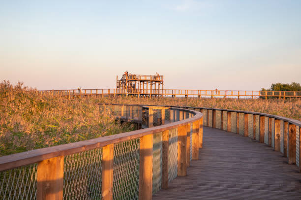 istock Parnu is a resort town in Estonia 1417573933