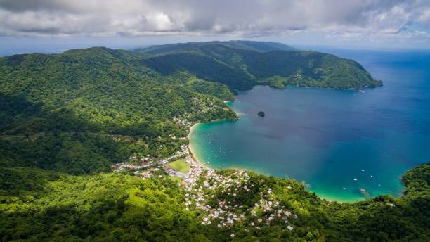 North-East Tobago Man-O-War Bay and Coastline within UNESCO Man and the Biosphere Reserve Drone pictures of coastline and end of the Main Ridge of  Tobago's North-Eastern end. This area is part of UNESCO North-East Tobago Biosphere Reserve. tobago stock pictures, royalty-free photos & images