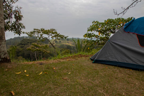 istock Lake Nkuruba Nature Reserve in Uganda 1417582046