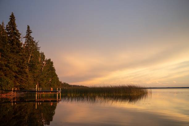 un muelle de barcos junto a una cabina de verano entre cañas que se reflejan al atardecer en candle lake, saskatchew - saskatchewan north prairie sunset fotografías e imágenes de stock