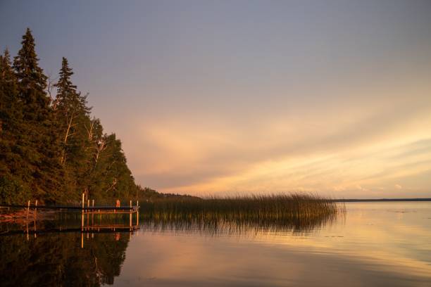 un molo per barche vicino a una cabina estiva tra i canneti riflessi al tramonto a candle lake, saskatchew - saskatchewan north prairie sunset foto e immagini stock