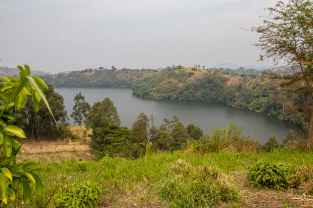 istock Lake Nkuruba Nature Reserve in Uganda 1417582367