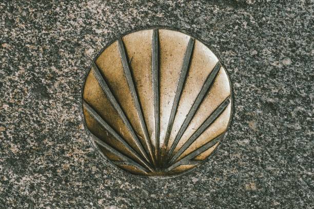 A closeup of camino de santiago shell on wall