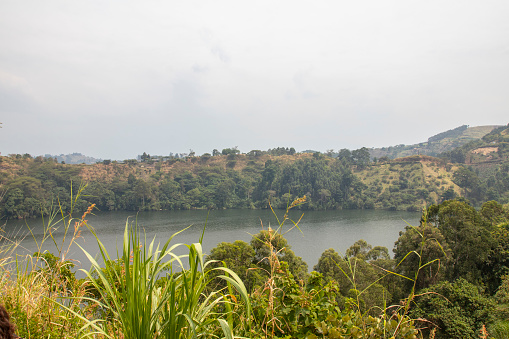 Lake Nkuruba Nature Reserve was established in 1991 to protect the ancient forest habitat which surrounds the volcanic crater lake