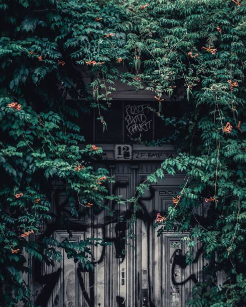 An urban old building door with graphitty surrounded by greenery with orange flowers and a vintage look in Berlin.