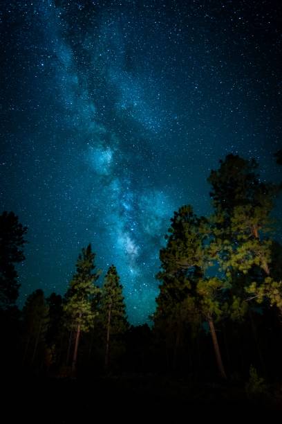 istock Vertical shot of a bright blue milky way starry sky over a pine forest 1417584021